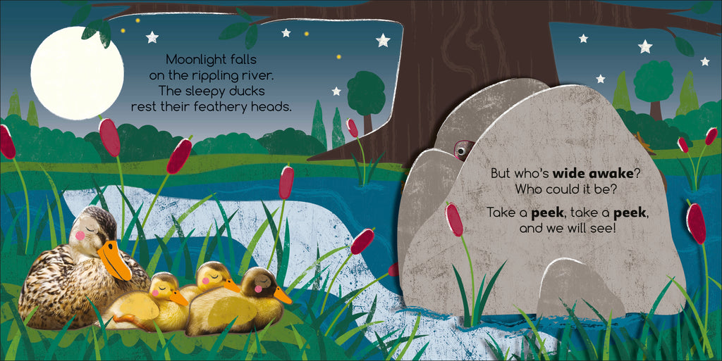 Flip Flap Find! Night-time Animals