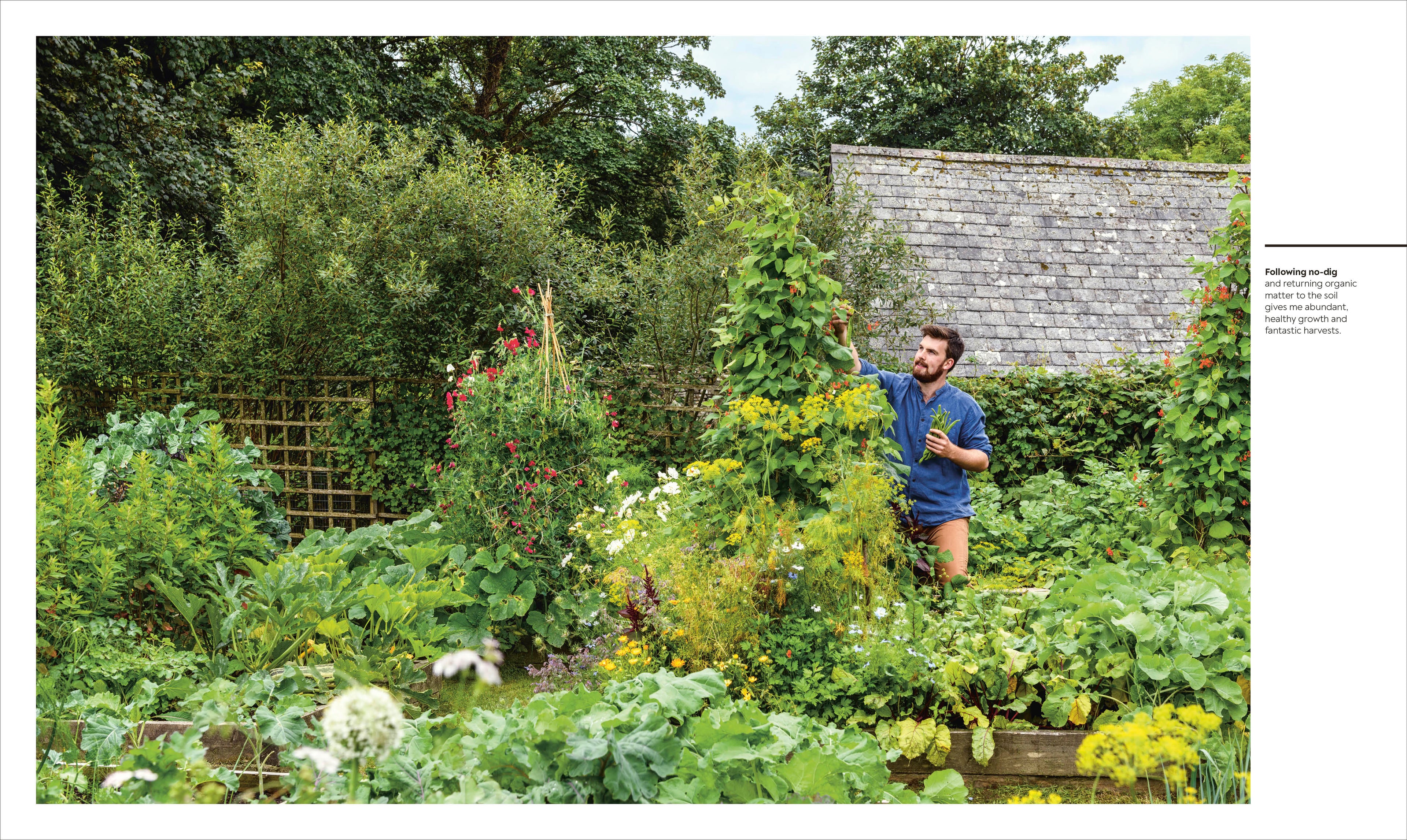 The Vegetable Grower's Handbook-spread image