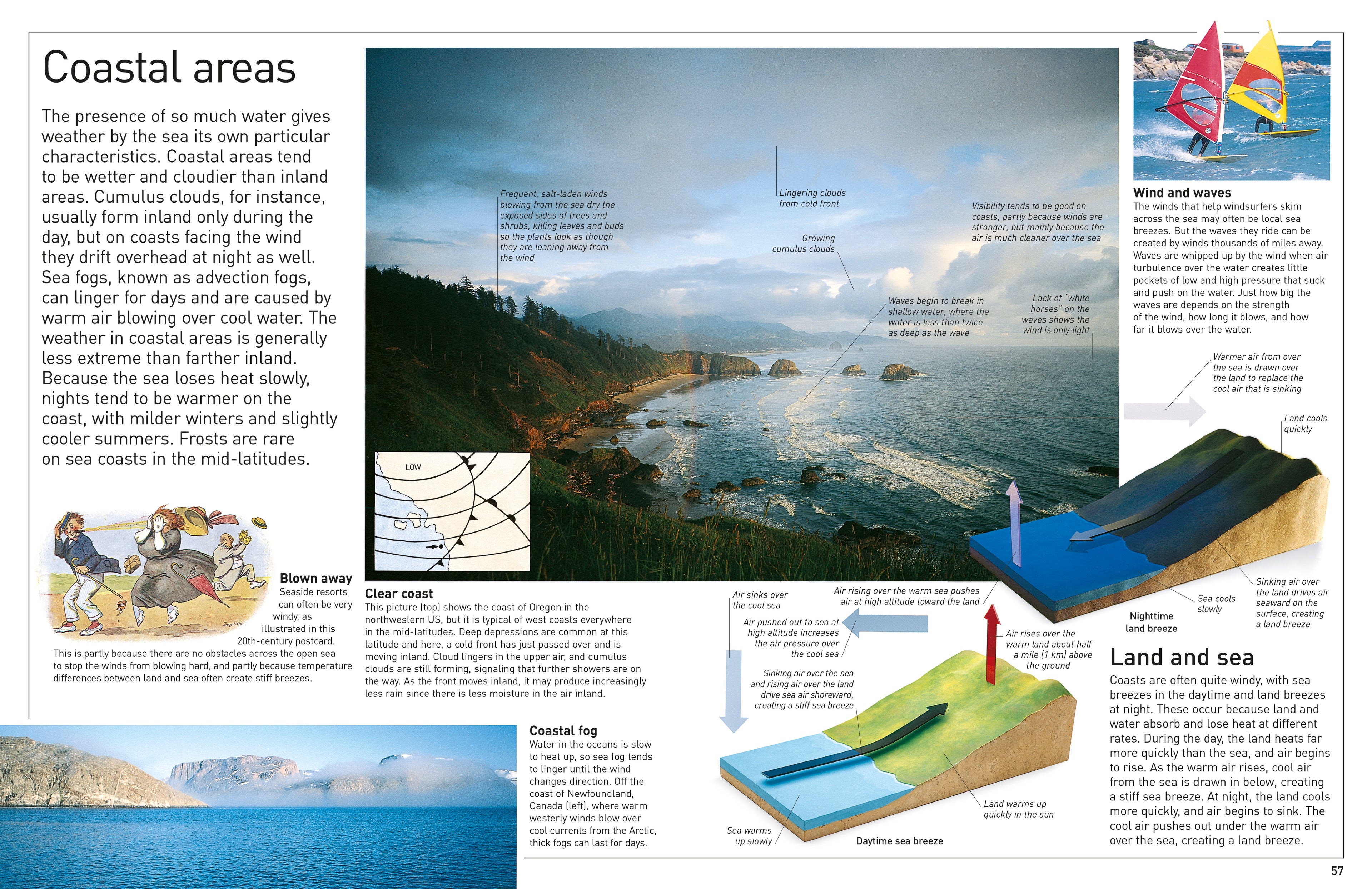 DK Eyewitness Books: Weather