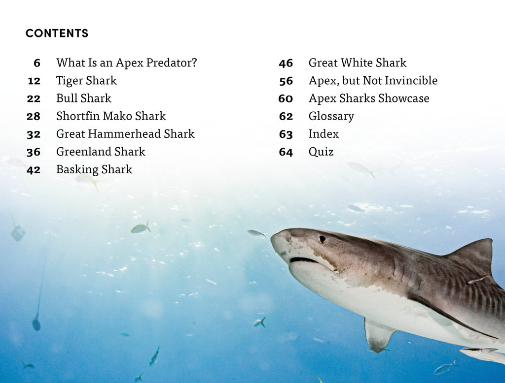 DK Super Readers Level 4 Shark: Apex Predator