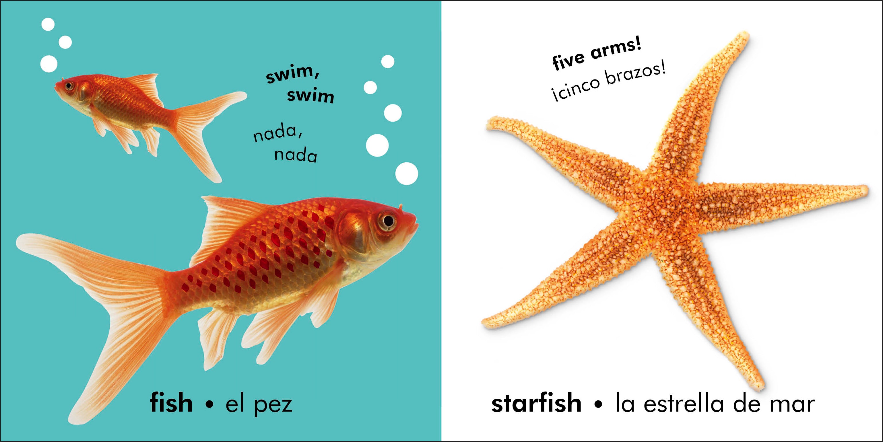 Bilingual Baby Touch and Feel: Animals - Los animales-image