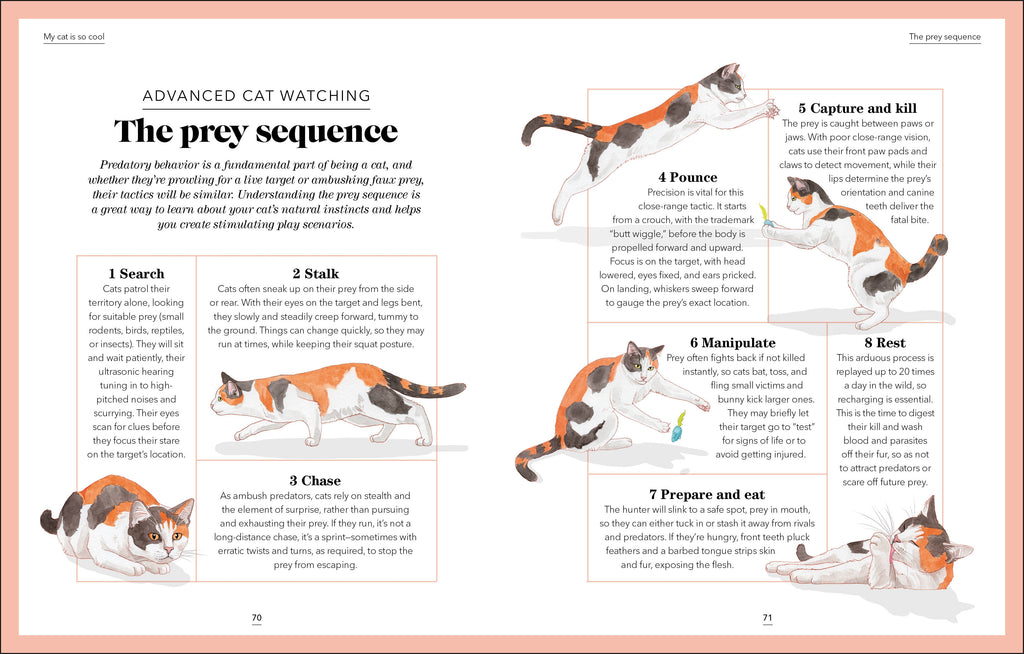 What's My Cat Thinking?