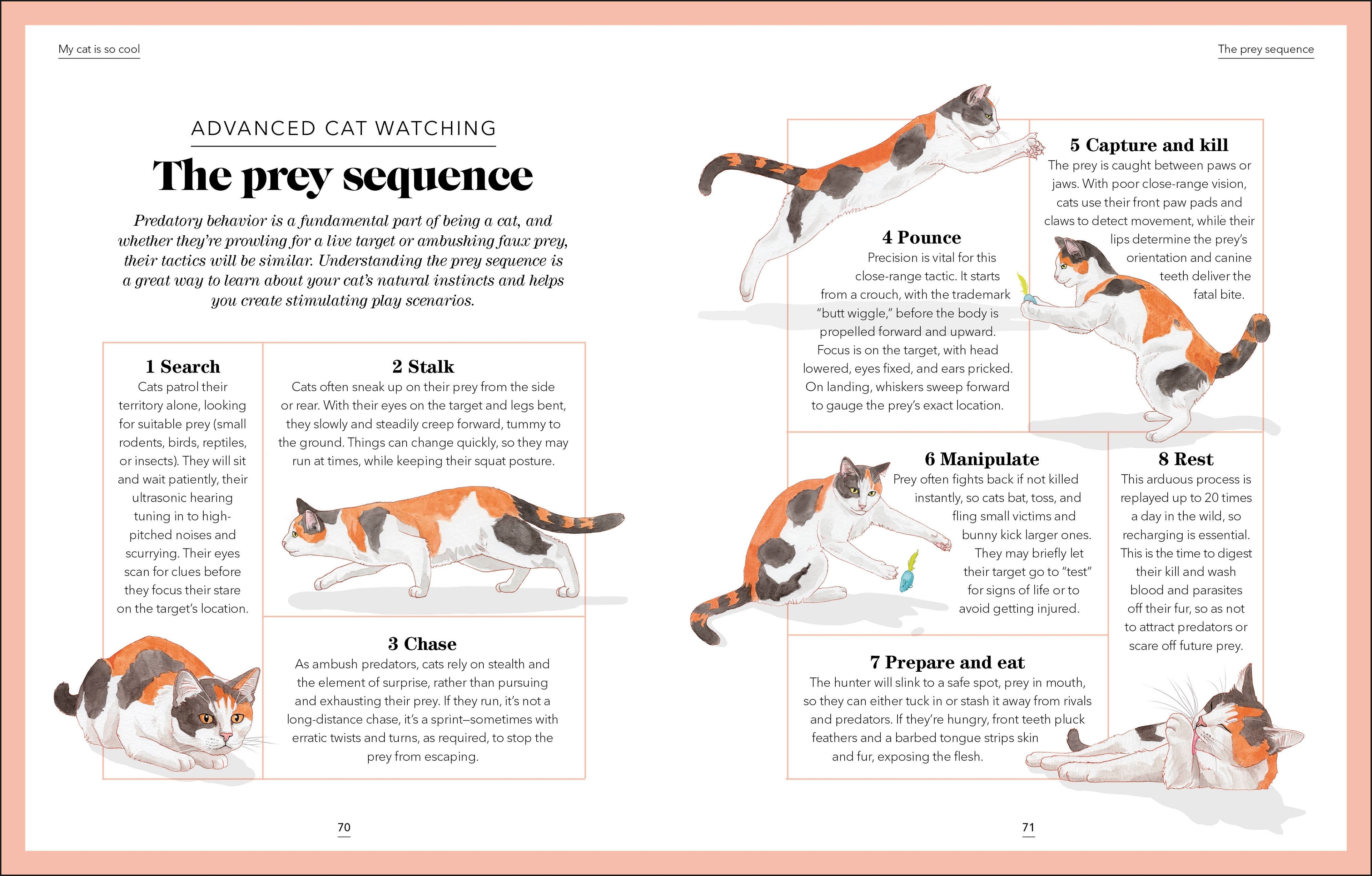 What's My Cat Thinking?