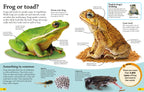 DKfindout! Reptiles and Amphibians