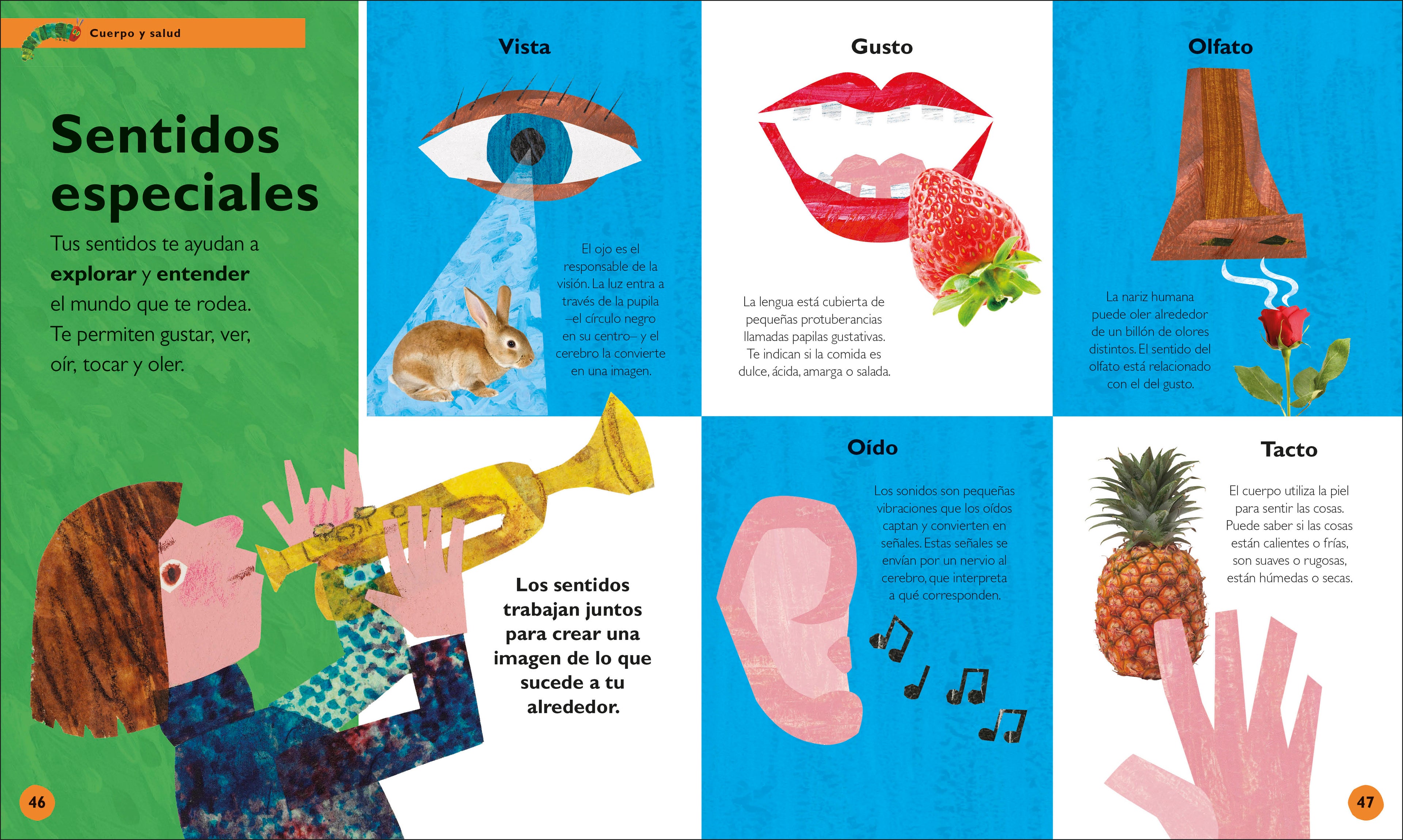 La oruga muy hambrienta: Mi primera enciclopedia (The Very Hungry Caterpillar's Very First Encyclopedia)-Spread, Image, (PRHC, Design, Do, Not, Use)-3