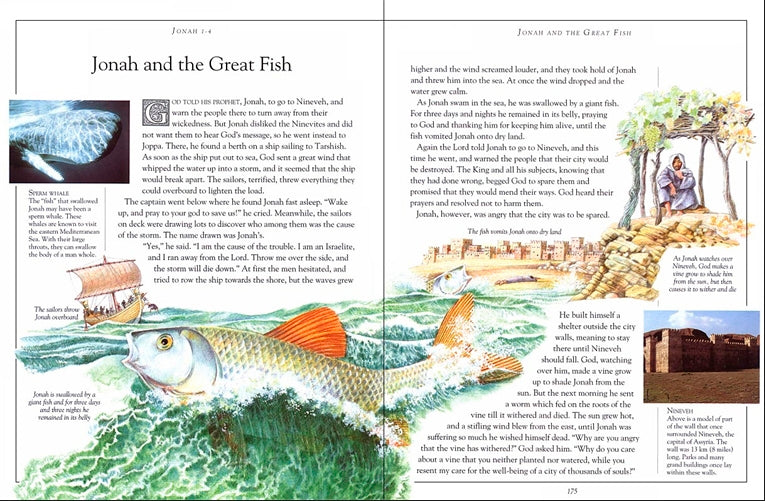 The Children's Illustrated Bible