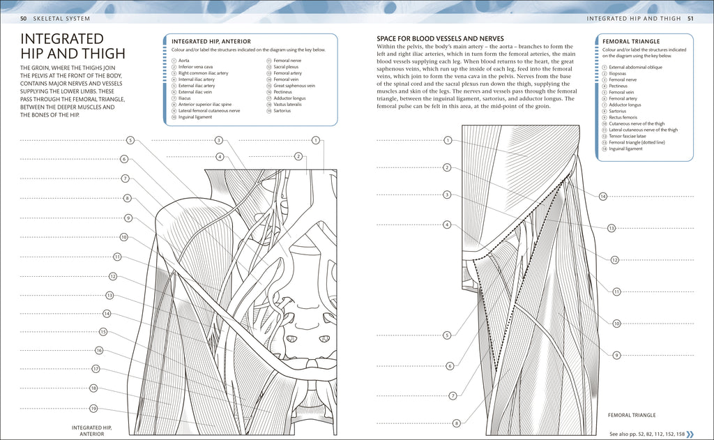 The Human Body Colouring Book-Spread, Image, (PRHC, Design, Do, Not, Use)-2