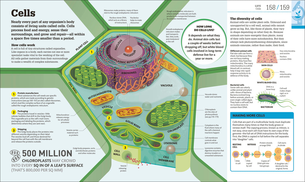 How Science Works-Spread, Image, (PRHC, Design, Do, Not, Use)-1