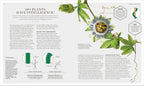 The Science of Gardening-image