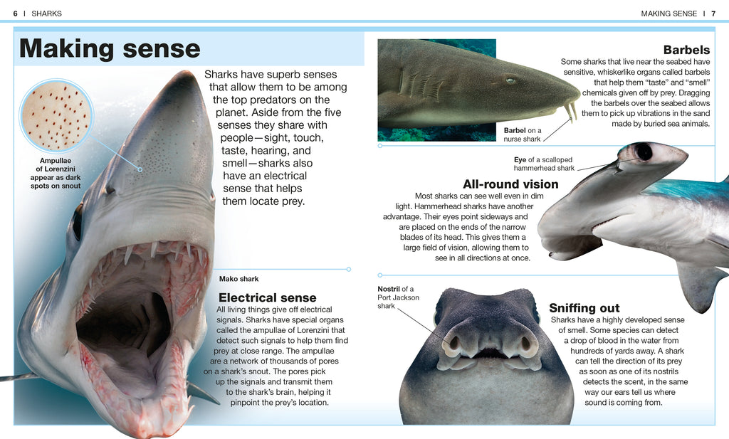 Pocket Genius: Sharks