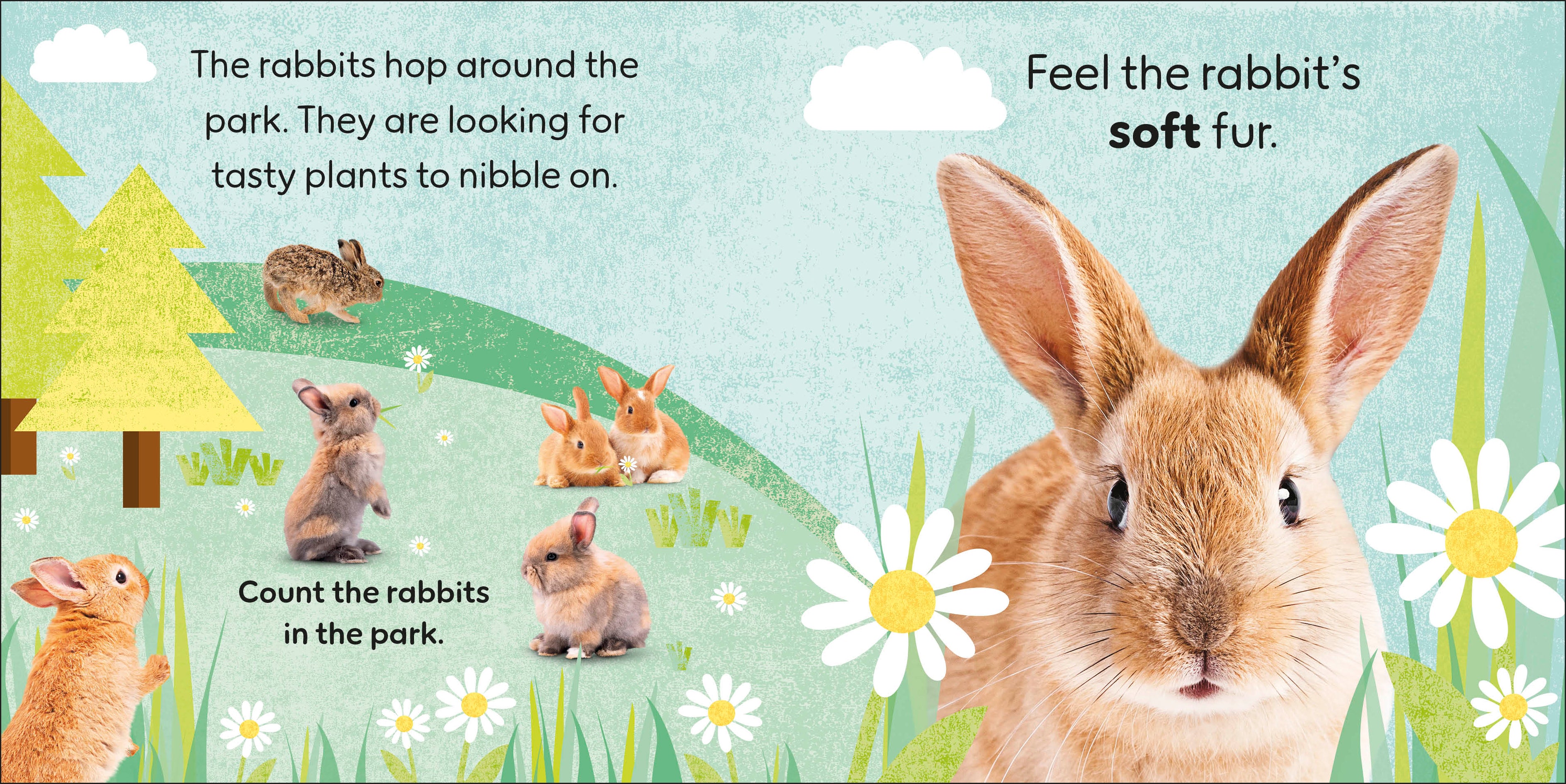 Touch and Feel Baby Animals-Spread, Image, (PRHC, Design, Do, Not, Use)-2