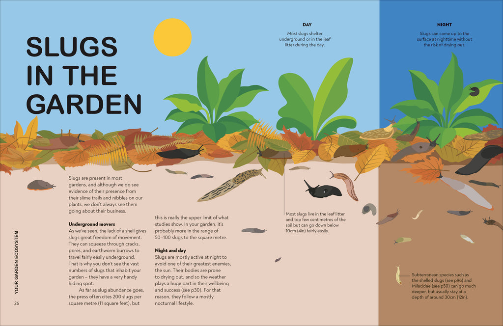 RHS Slugs: Friend or Foe?-Spread, Image, (PRHC, Design, Do, Not, Use)-3