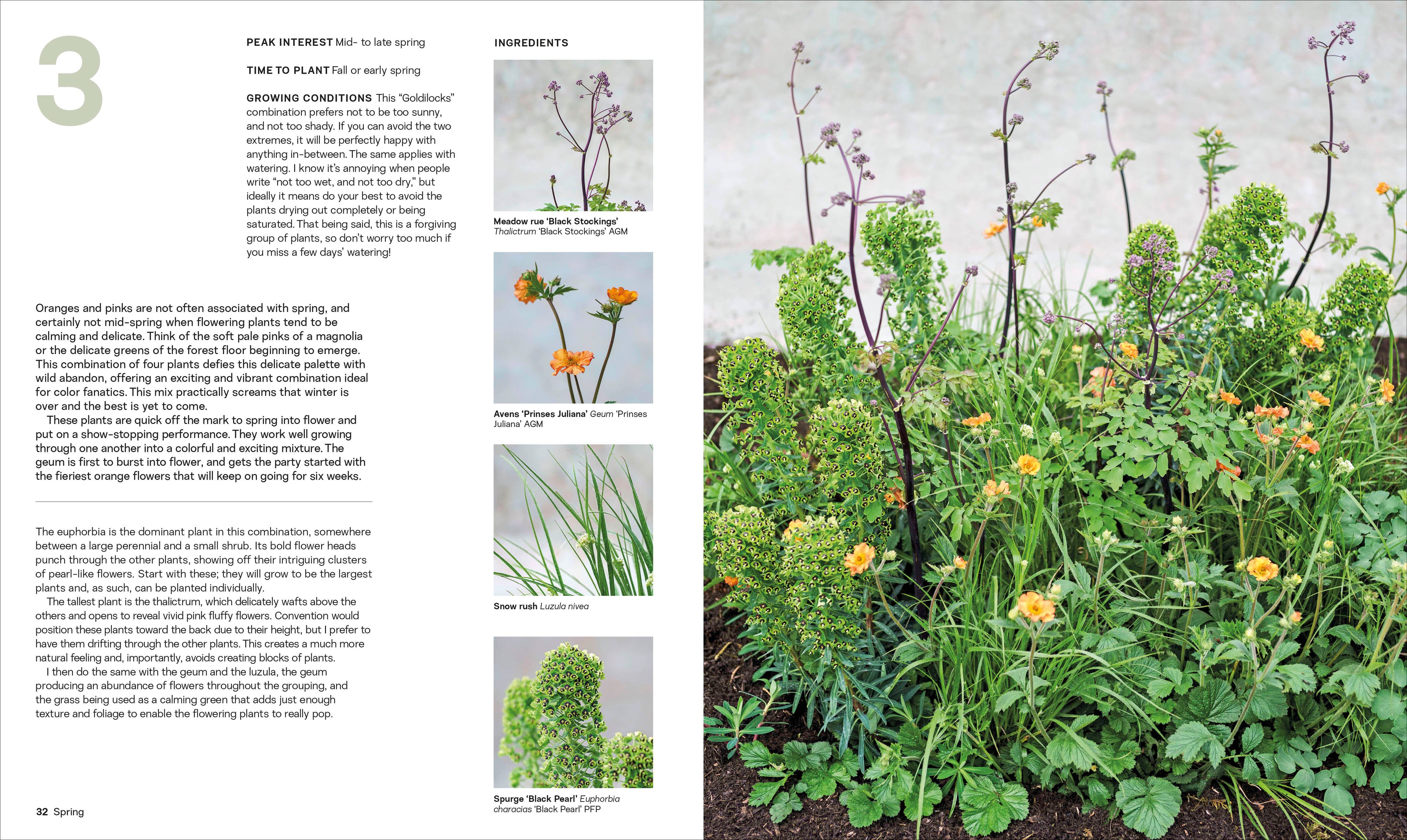 What Grows Together-Spread, Image, (PRHC, Design, Do, Not, Use)-3