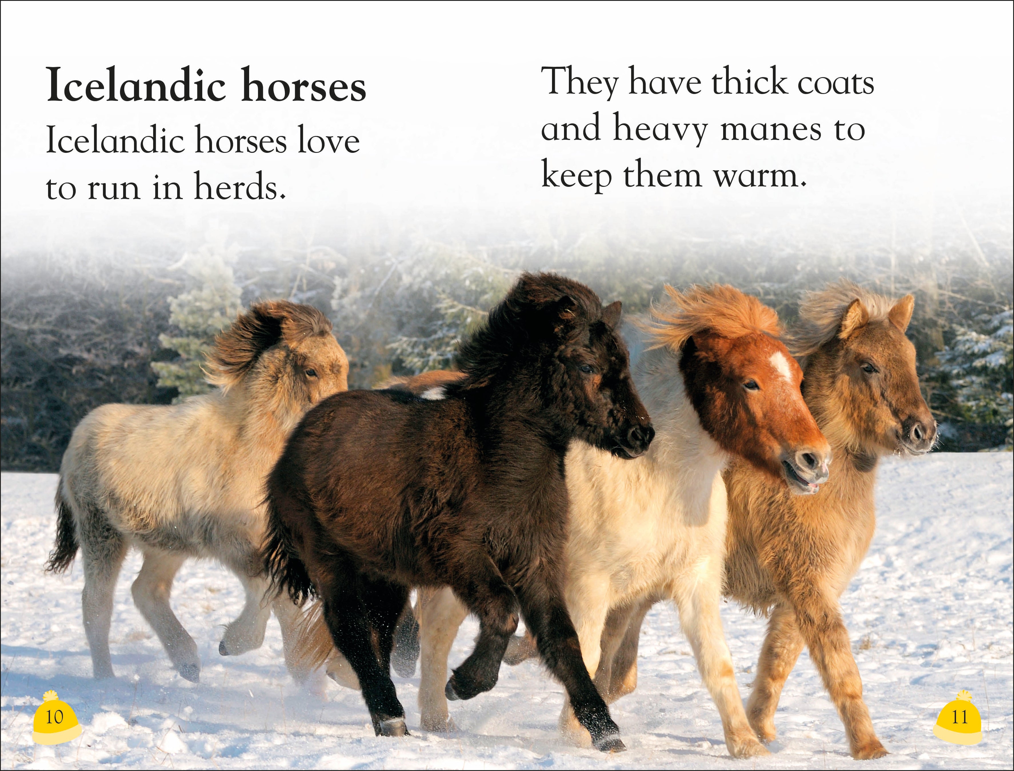 DK Reader Level 1: Welcome To Iceland