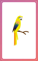 English for Everyone Junior First Words Animals Flash Cards-Spread, Image, (PRHC, Design, Do, Not, Use)-10