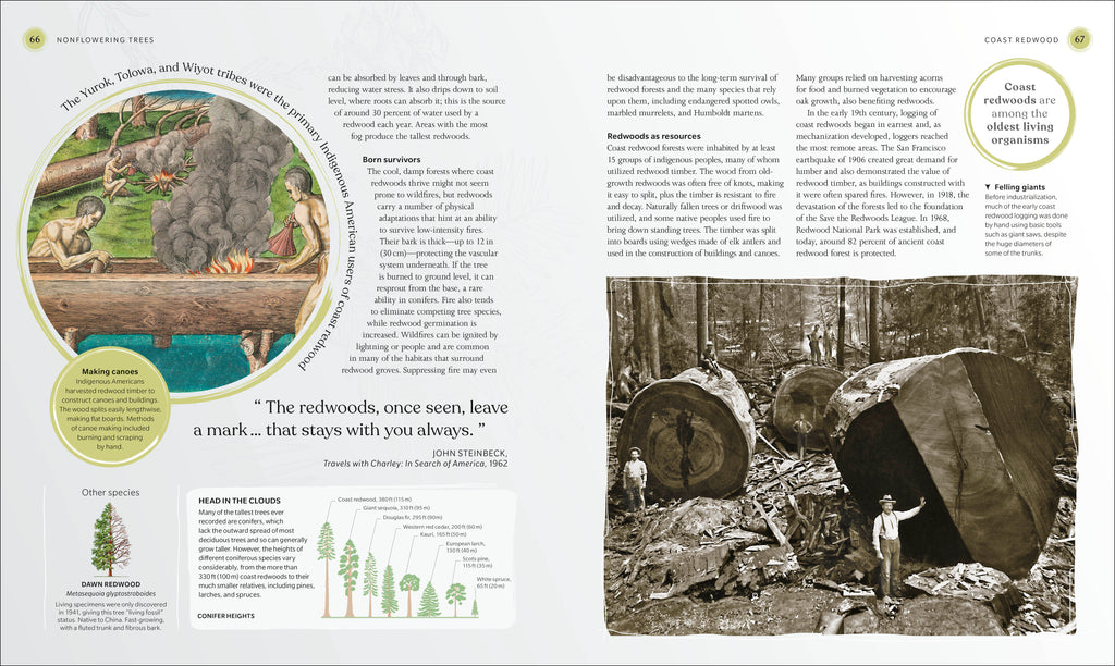 The Tree Book-Spread, Image, (PRHC, Design, Do, Not, Use)-3