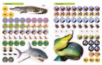 Ultimate Sticker Book: Deadly Animals