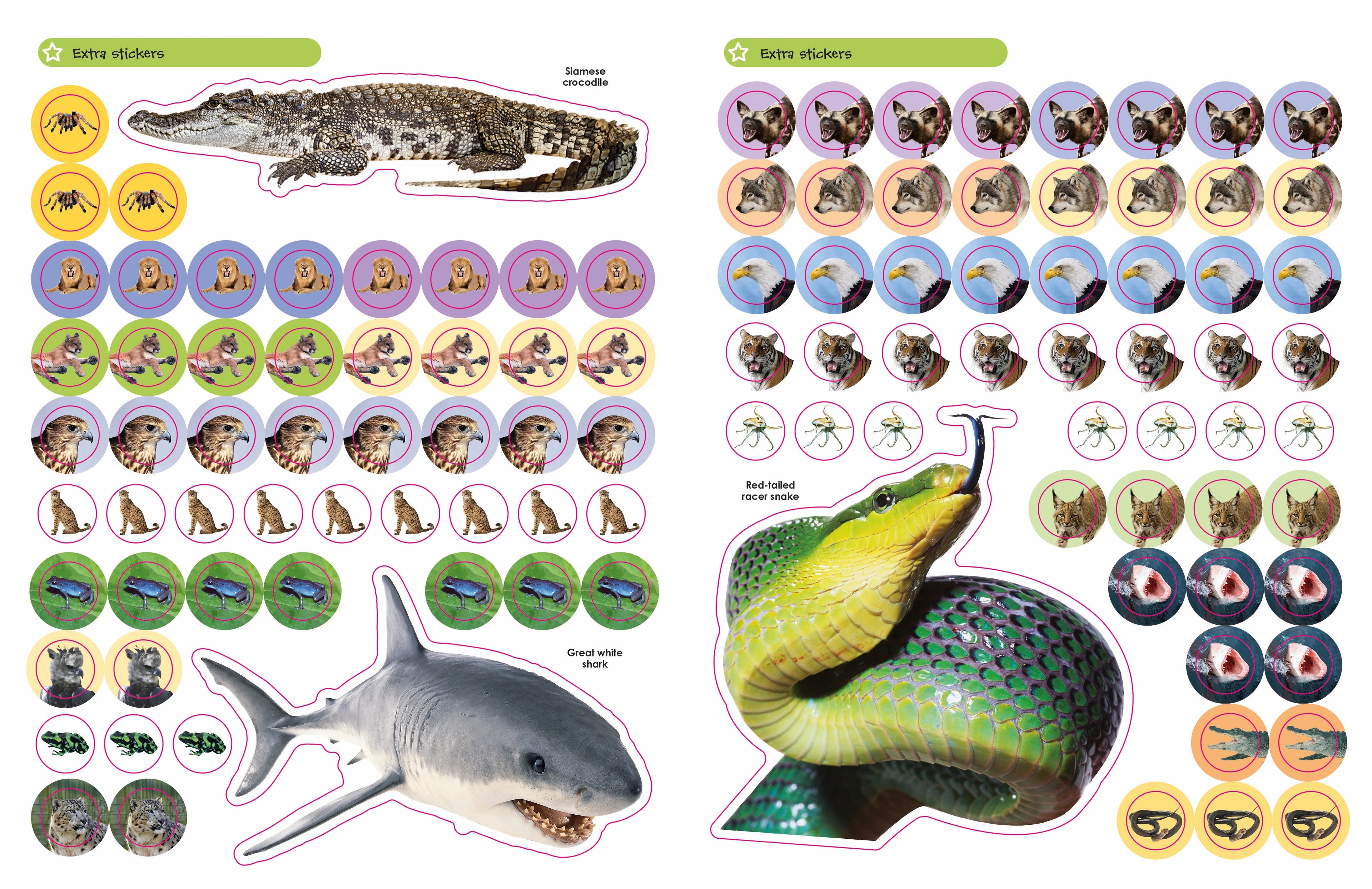 Ultimate Sticker Book: Deadly Animals