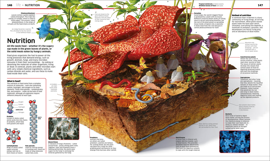 Knowledge Encyclopedia Science!