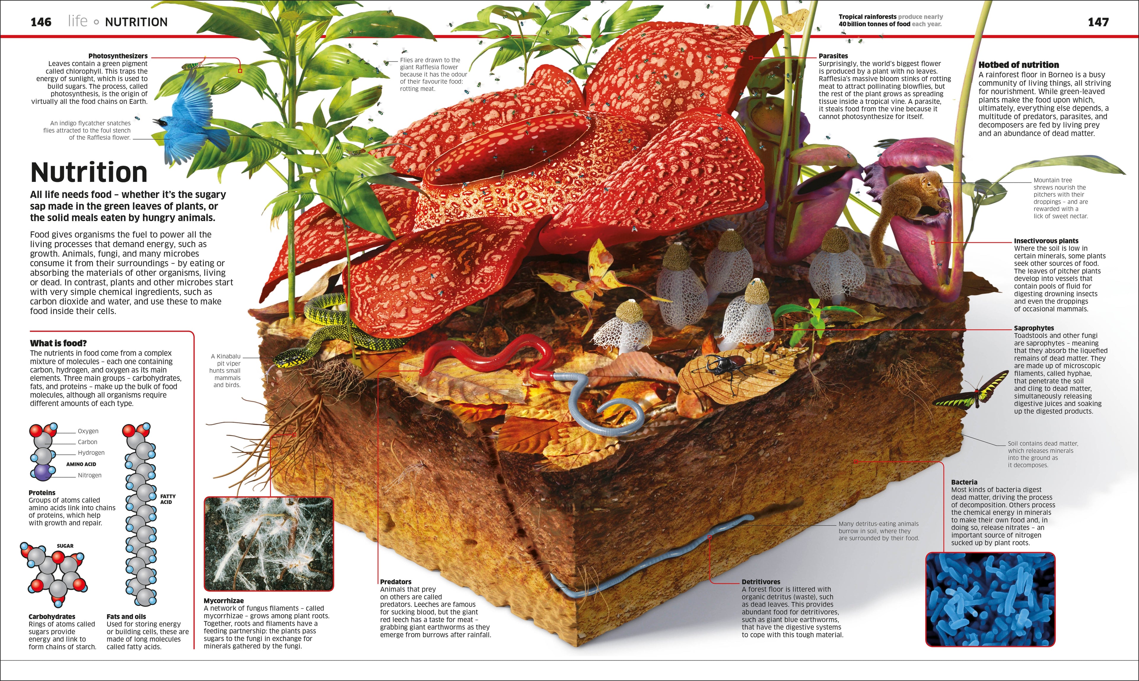 Knowledge Encyclopedia Science!