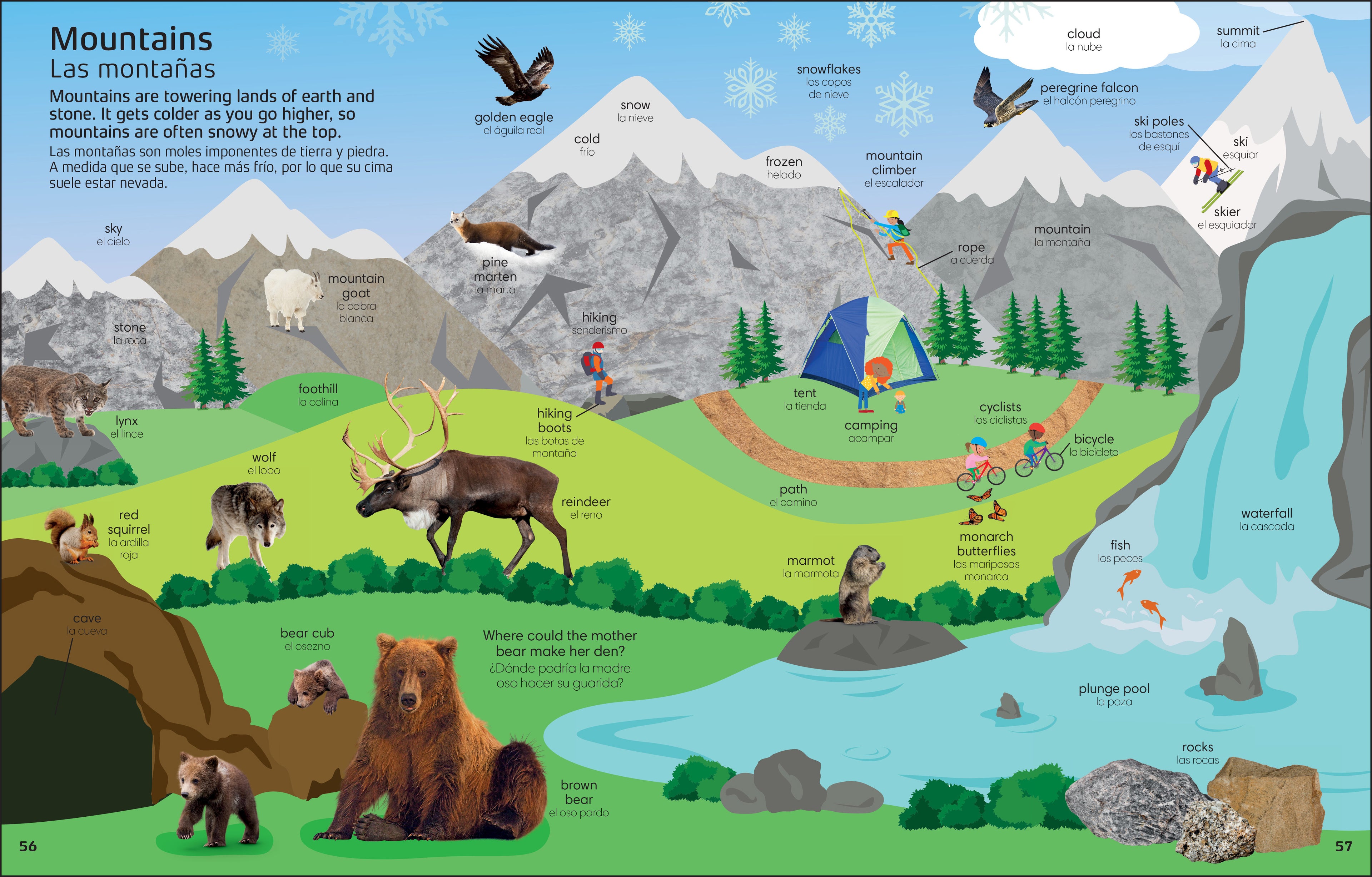 1000 Bilingual words Nature English-Spanish/1000 Palabras bilingues Naturaleza ingles espanol-Spread, Image, (PRHC, Design, Do, Not, Use)-5