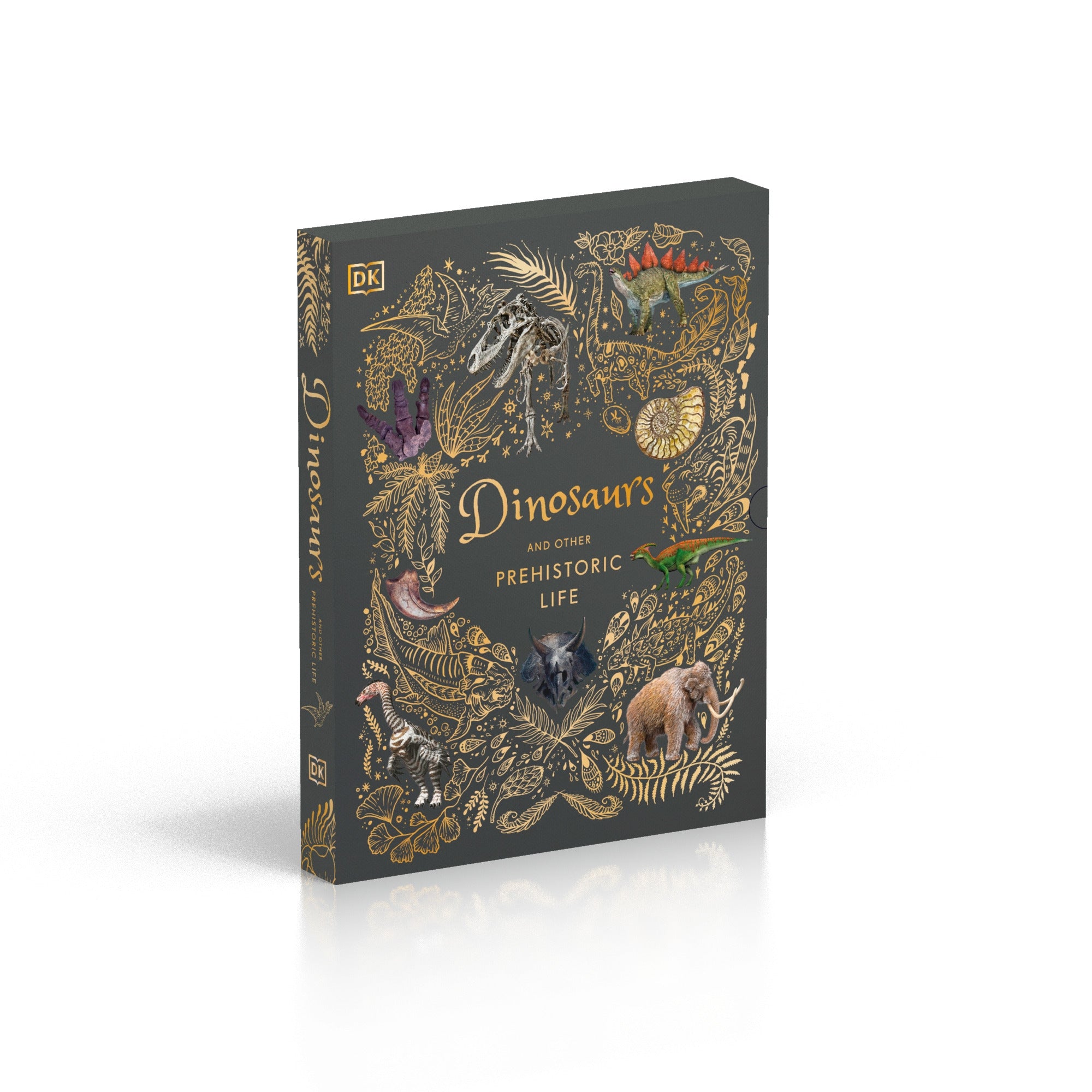Dinosaurs and Other Prehistoric Life Slipcase cover