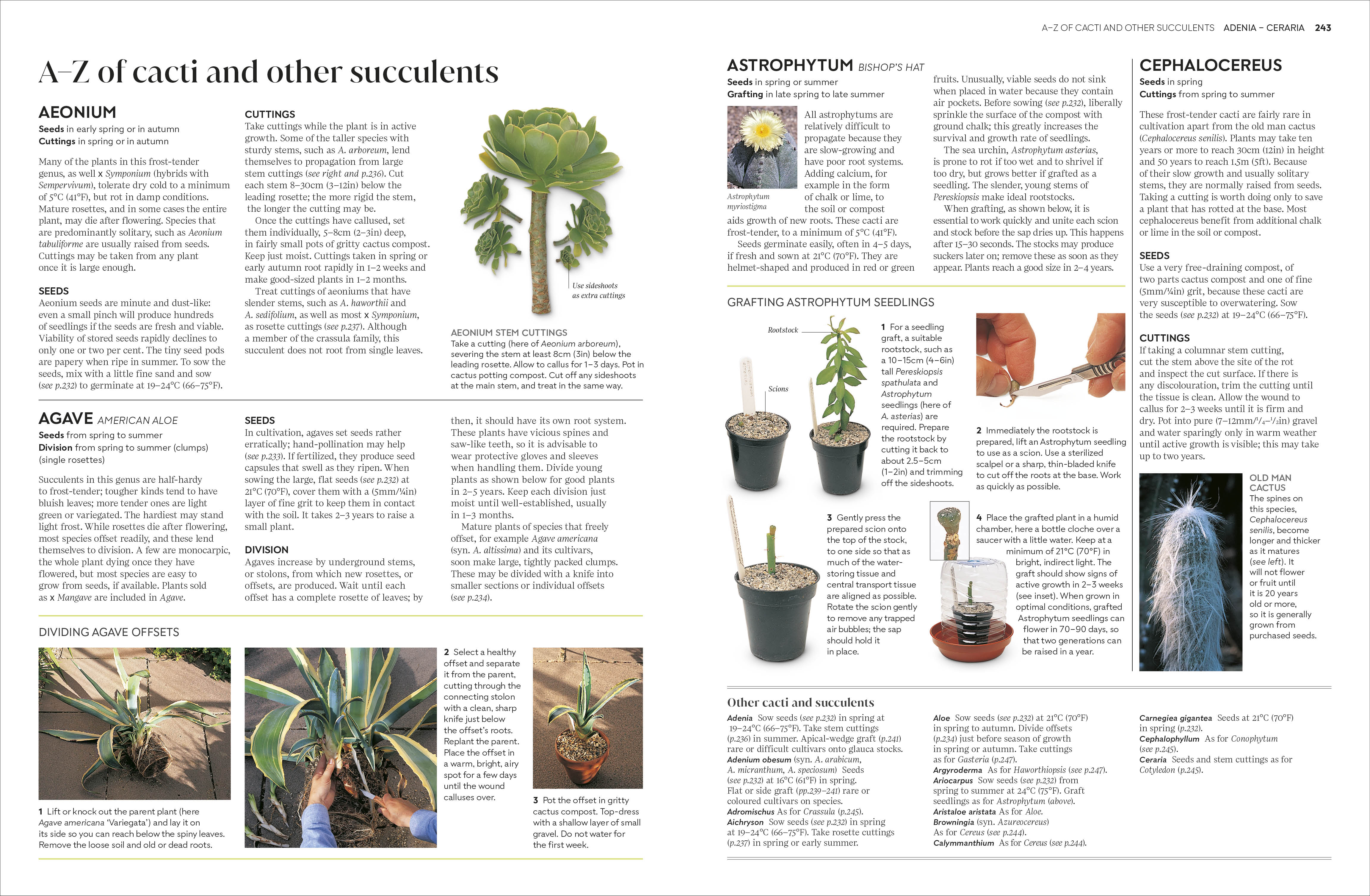 RHS Propagating Plants – DK