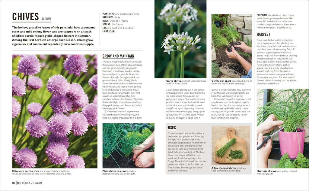 Grow Herbs-Spread, Image, (PRHC, Design, Do, Not, Use)-4