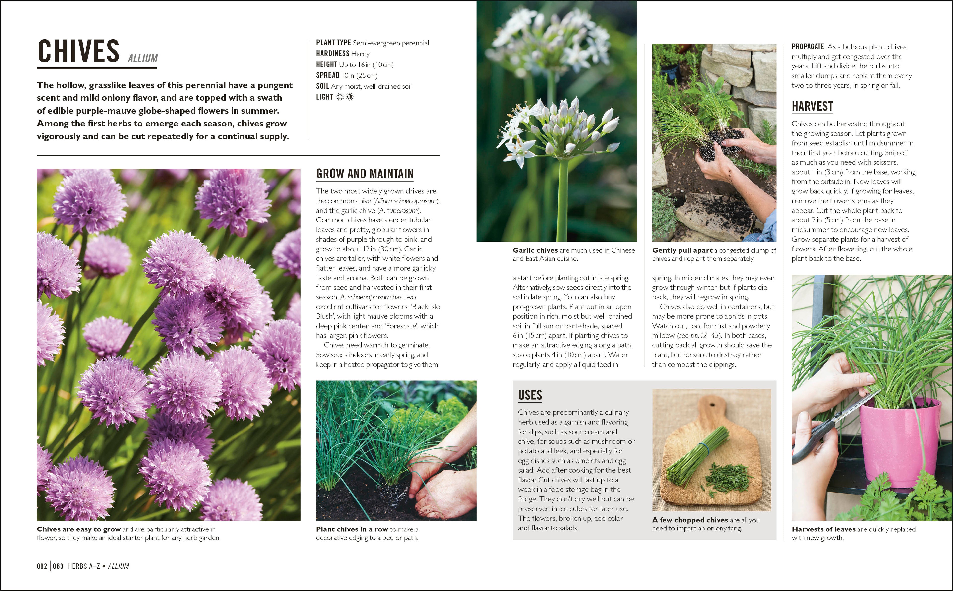 Grow Herbs-Spread, Image, (PRHC, Design, Do, Not, Use)-4