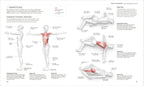 Science of Stretch-image