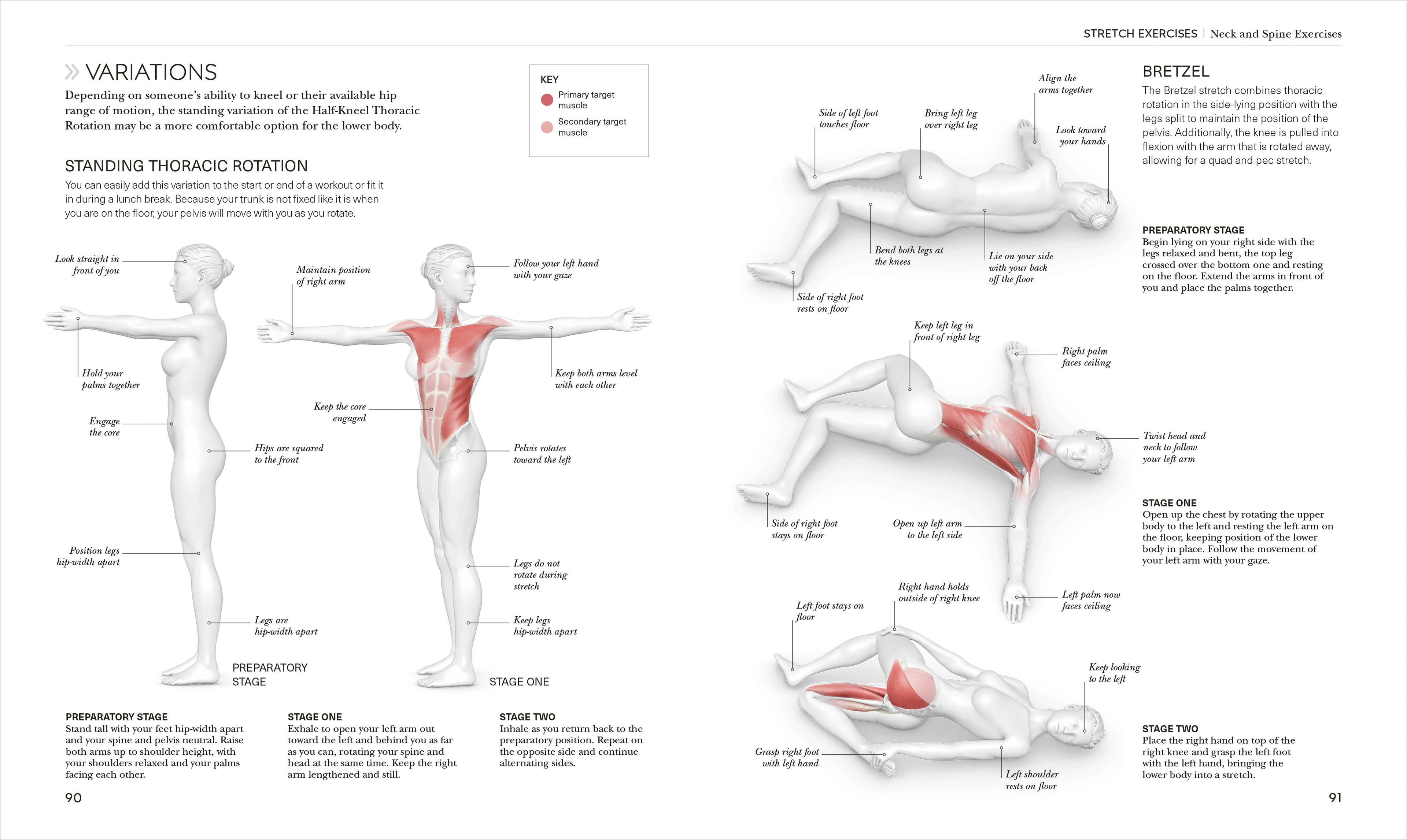 Science of Stretch-image