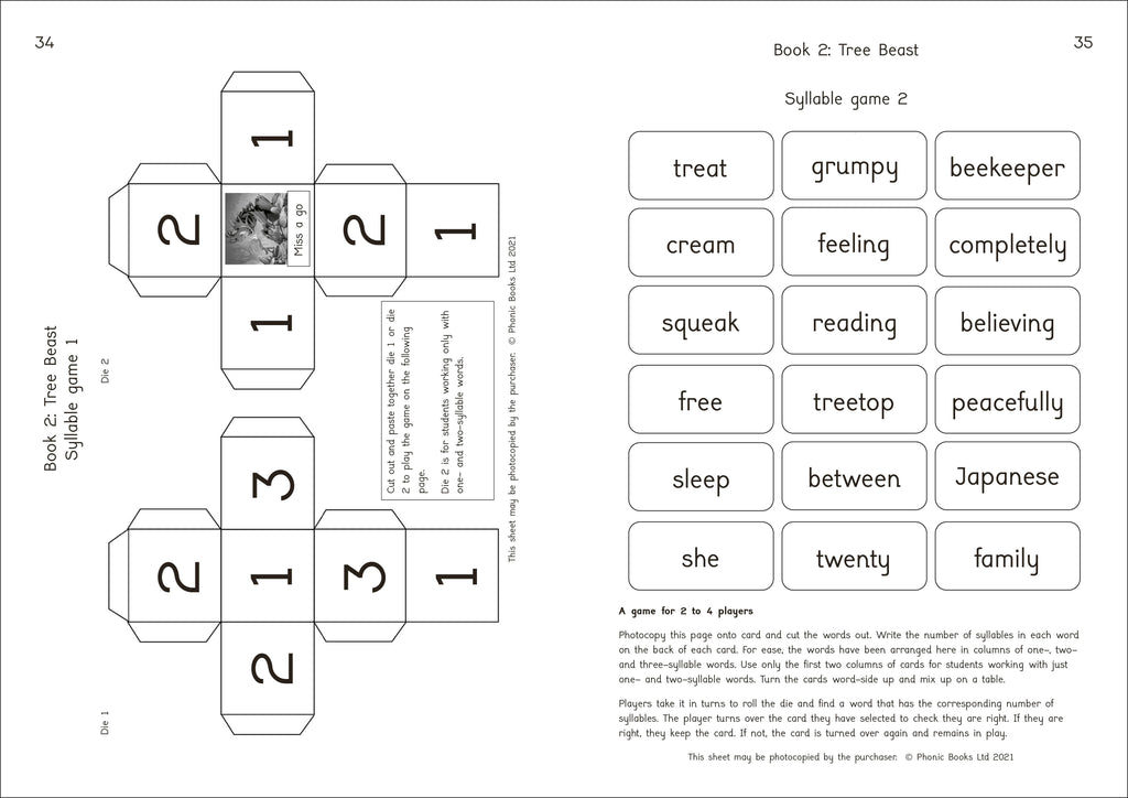 Phonic Books Dragon Eggs Activities