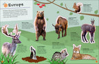 Ultimate Sticker Book Animals
