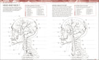 The Human Body Coloring Book-Spread, Image, (PRHC, Design, Do, Not, Use)-6