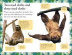 DK Readers Level 2: Sloths