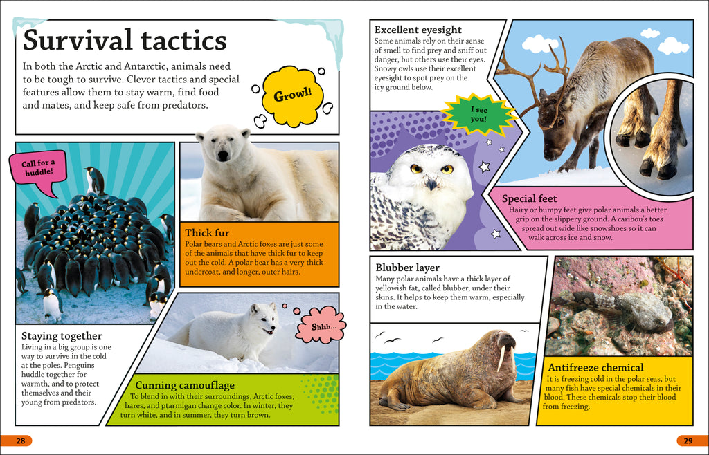 DKFindout! Arctic and Antarctic-Spread, Image, (PRHC, Design, Do, Not, Use)-2