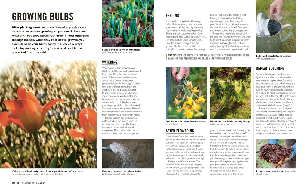 Grow Bulbs-Spread, Image, (PRHC, Design, Do, Not, Use)-1