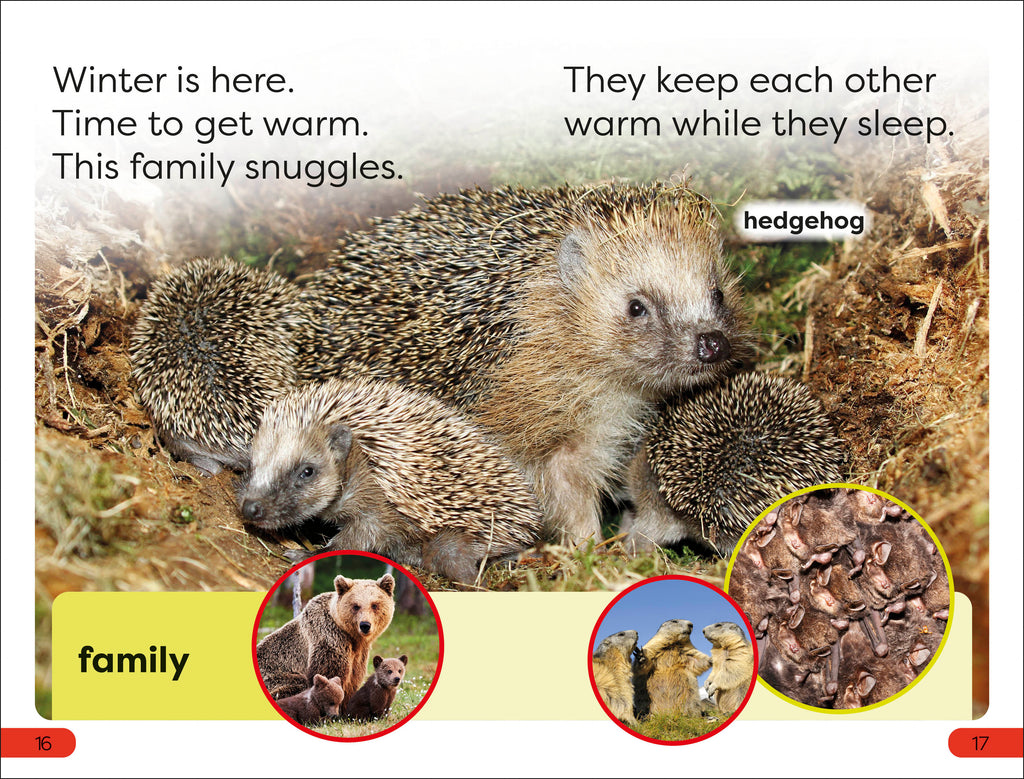 DK Super Readers Pre-Level A Bed For The Winter