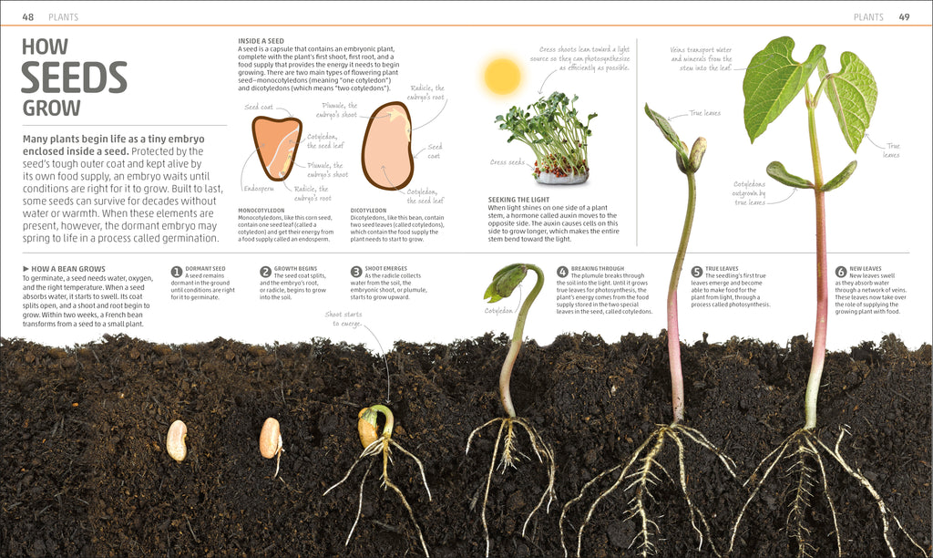 Explanatorium of Nature