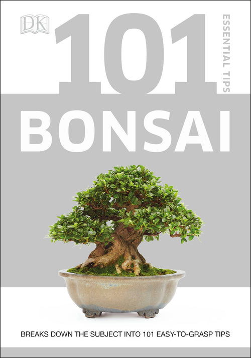 tips for bonsai trees 101 Essential Tips Bonsai – DK