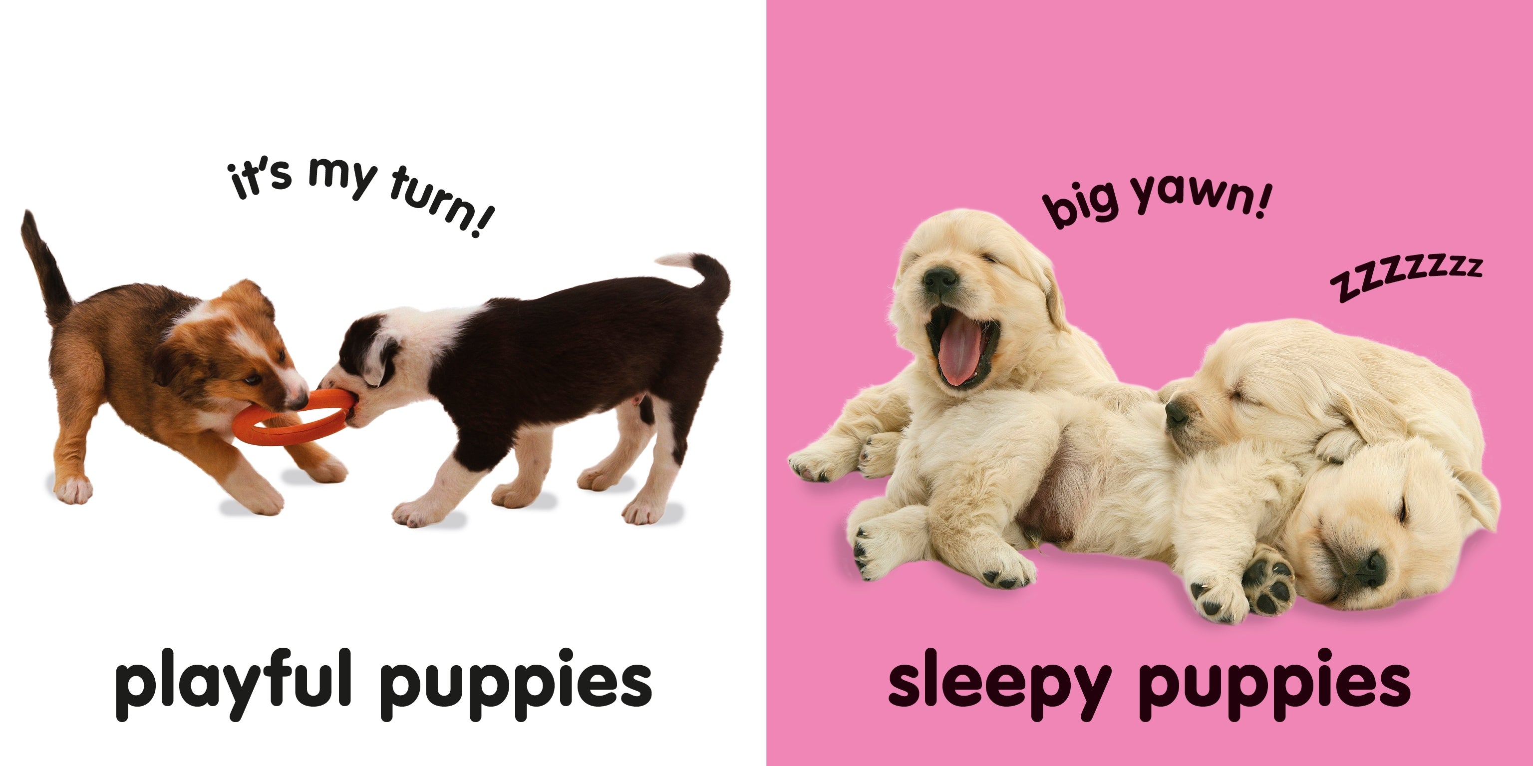 Baby Touch and Feel: Puppies