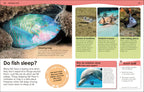 Did You Know? Ocean-Spread, Image, (PRHC, Design, Do, Not, Use)-3