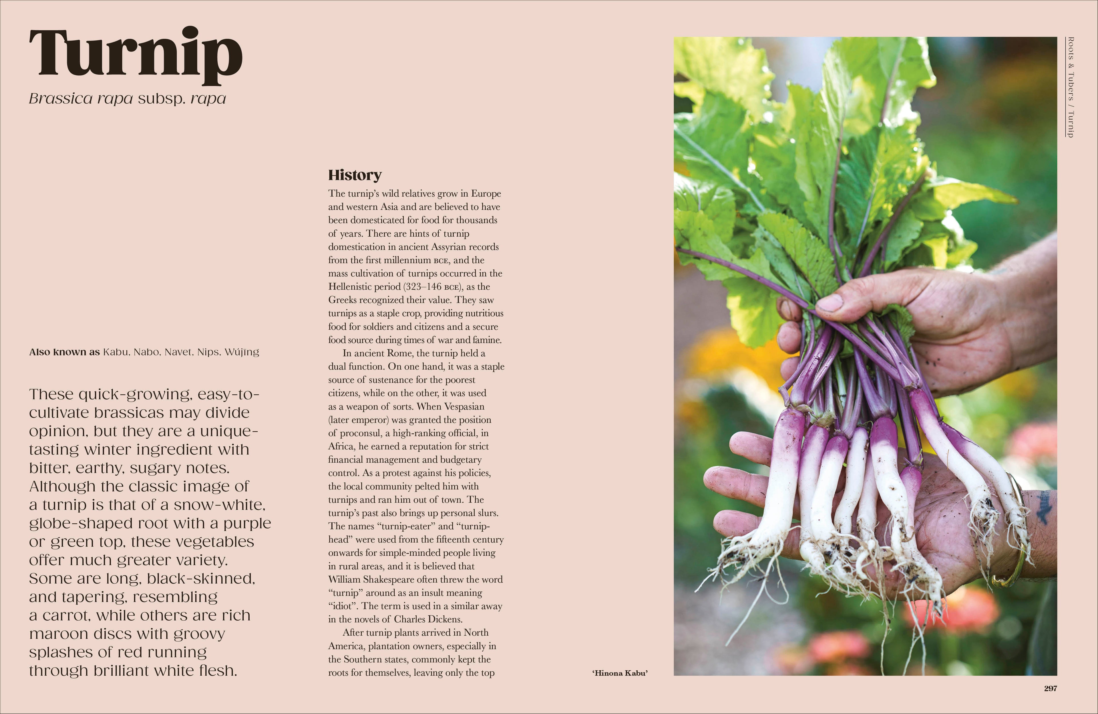The Seed Hunter-Spread, Image, (PRHC, Design, Do, Not, Use)-4
