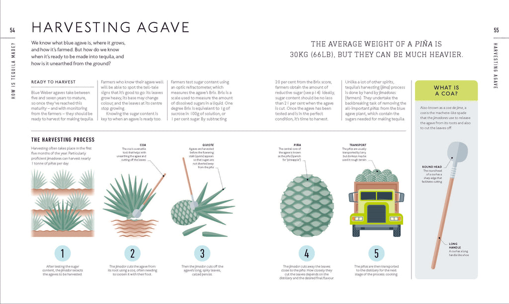 Tequila: A Tasting Course