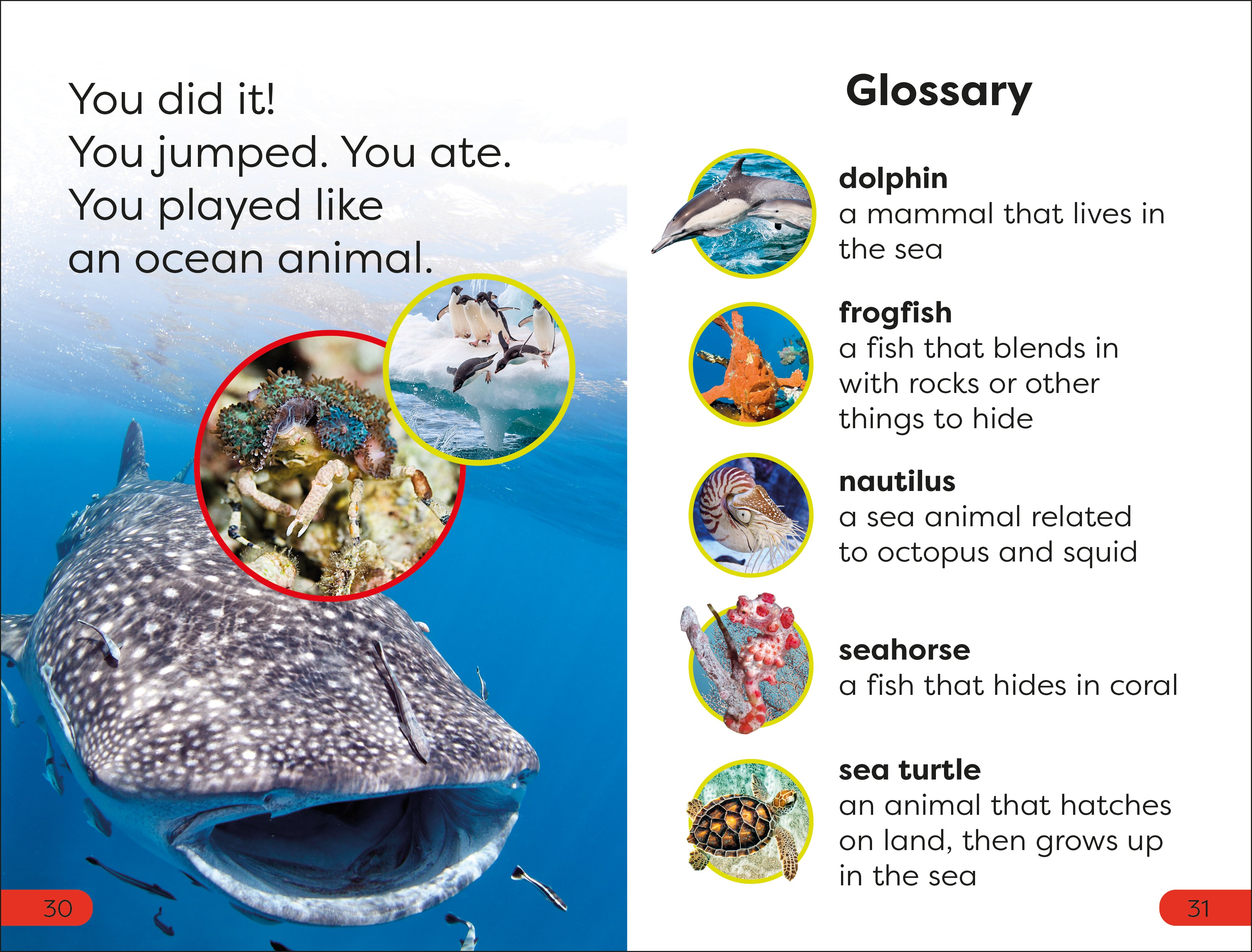 DK Super Readers Pre-level box set-Spread, Image, (PRHC, Design, Do, Not, Use)-3