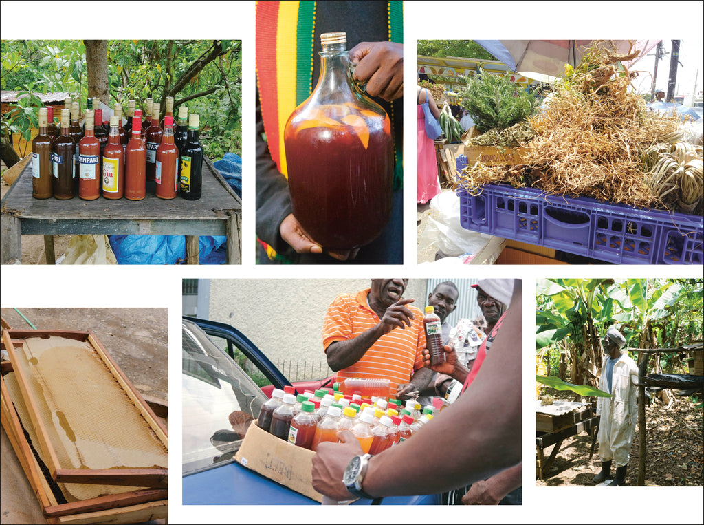 West Winds-Spread, Image, (PRHC, Design, Do, Not, Use)-9