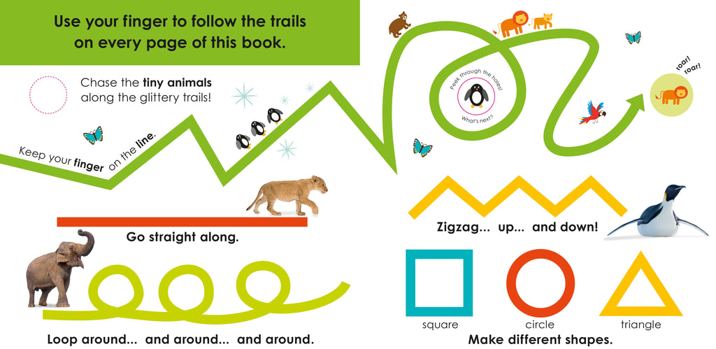 Follow the Trail: Wild Animals