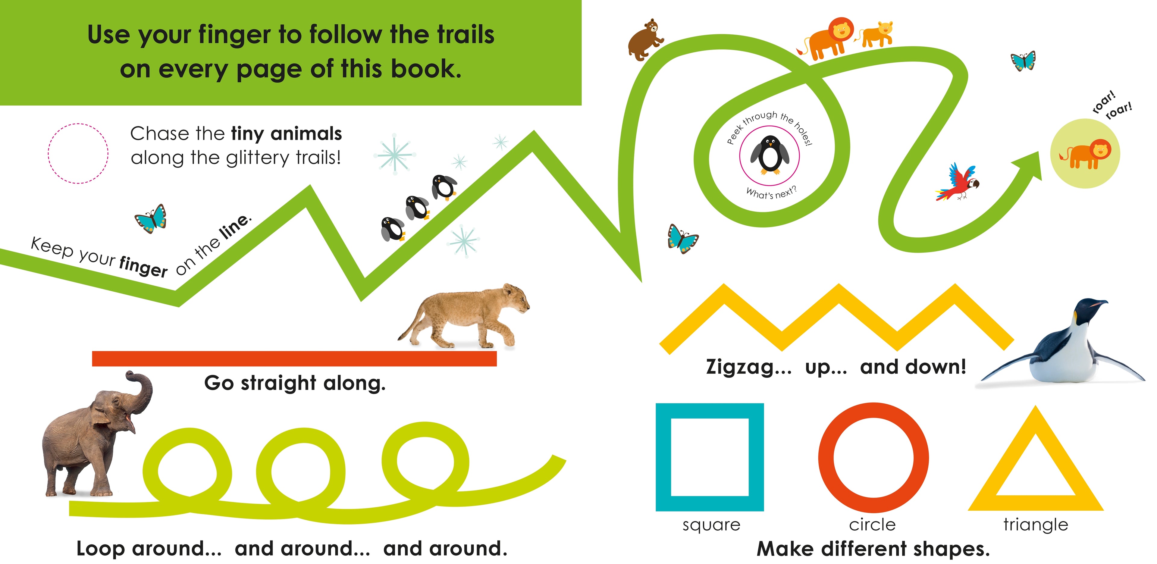 Follow the Trail: Wild Animals