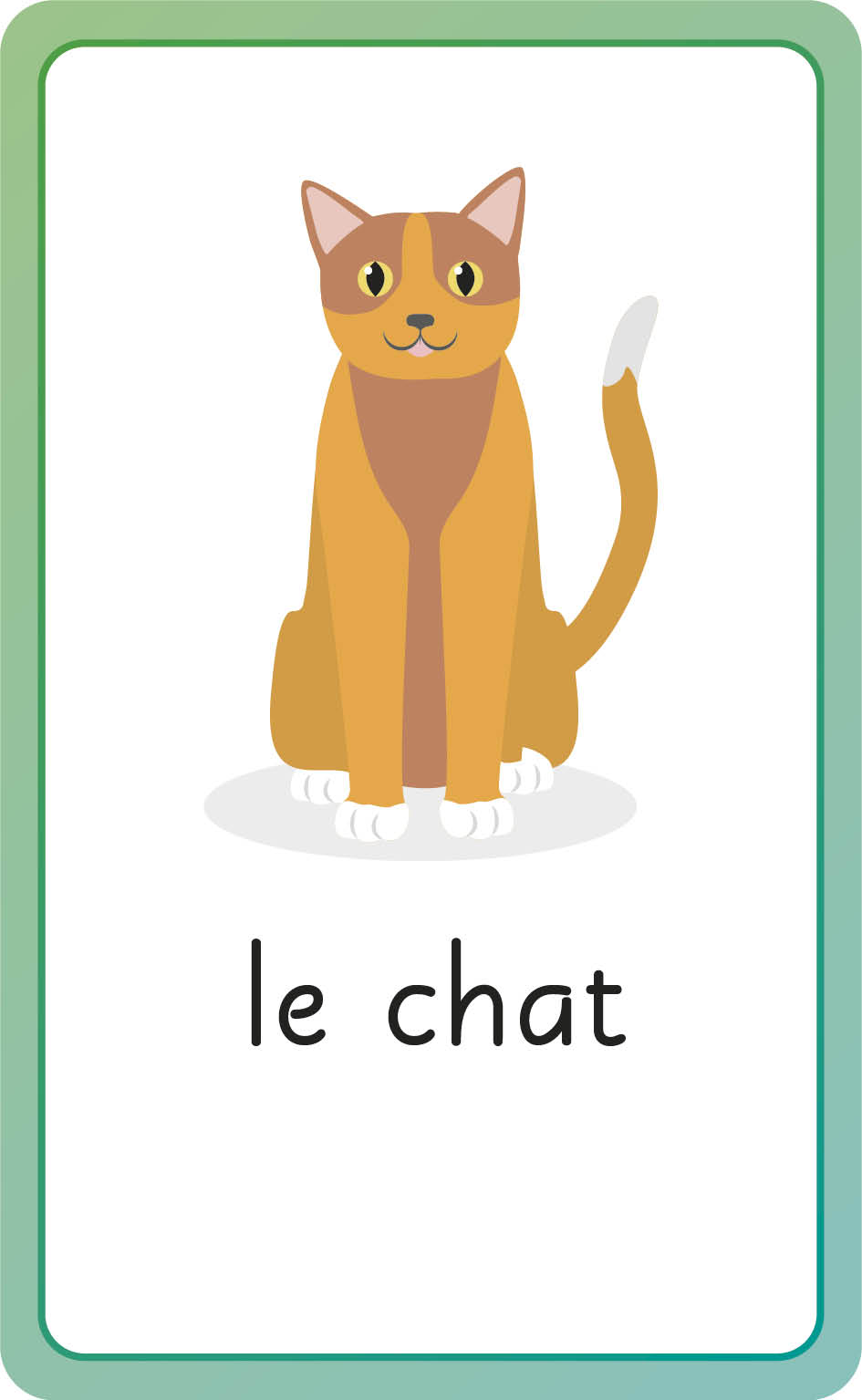 French for Everyone Junior First Words Flash Cards-image