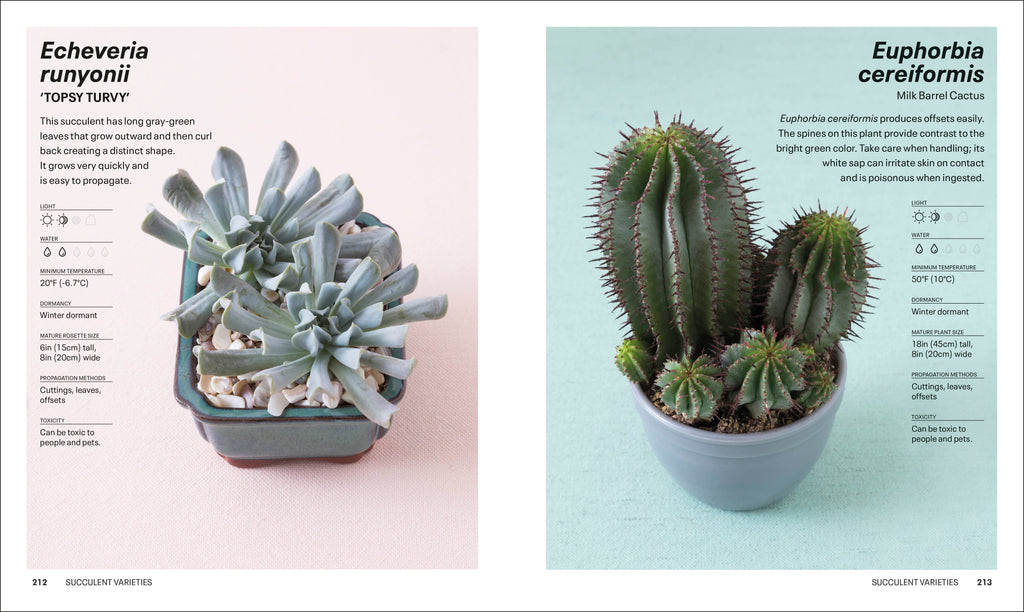 Succulents-Spread, Image, (PRHC, Design, Do, Not, Use)-6